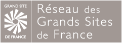 logo rgsf