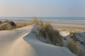 Dunes de Flandre