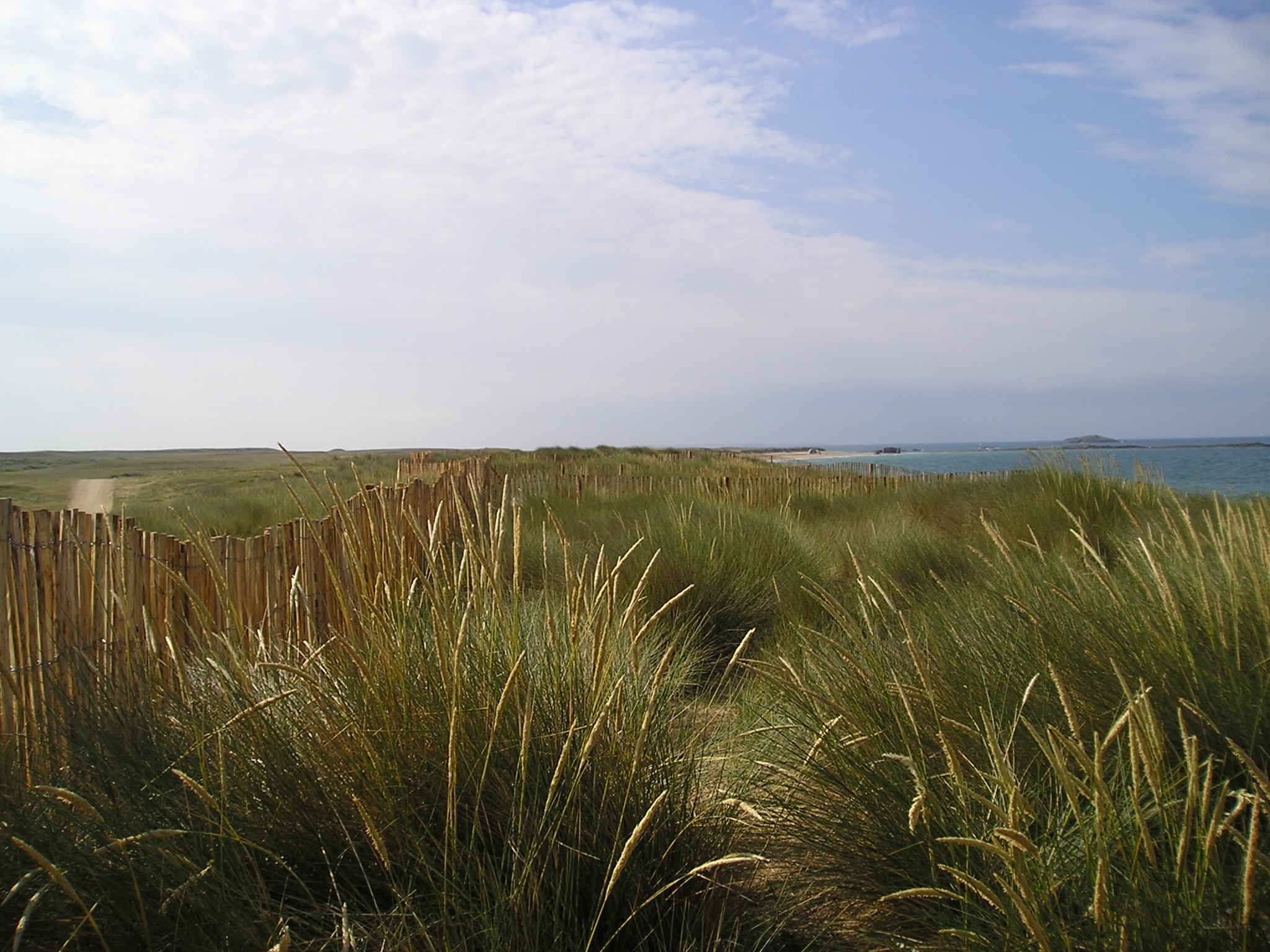 dune-gavres-quiberon