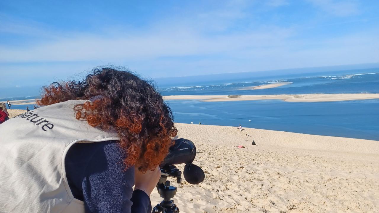 longue vue dune