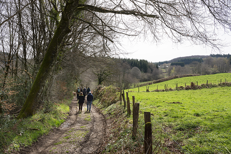 bibracte antoine maillier 134697 29