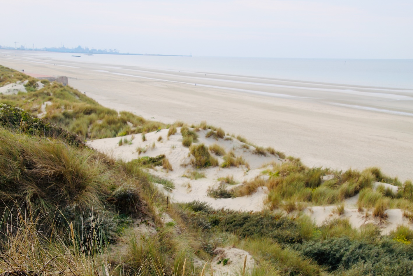img 9638 dunes de flandre mathilde milot
